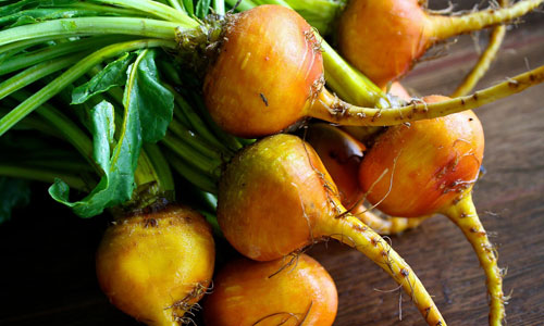 going green ventures beet sugar