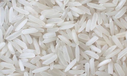 going green ventures rice