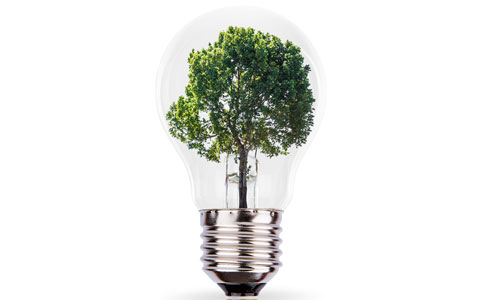 going green ventures renewable energy